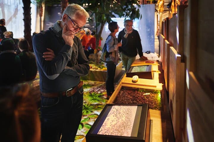 Chocolate visit