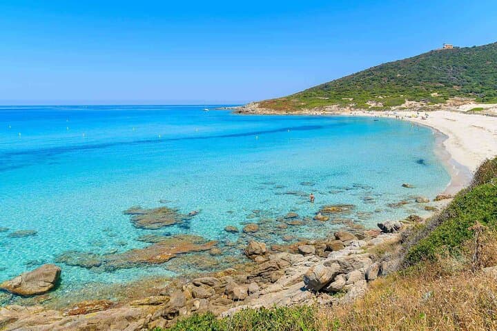 Discovery of the Ile Rousse & Wine Tasting From Calvi Cruise Port