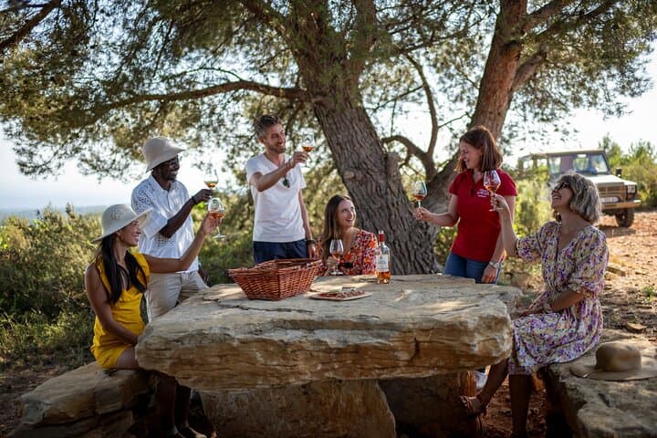 Private Saint-Tropez Peninsula Wine Tour