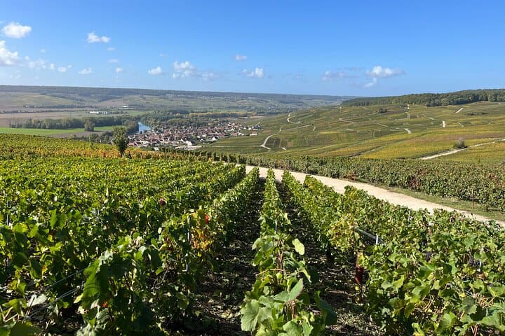 Family Estates Champagne Tour from Paris : 10 Tastings & Lunch