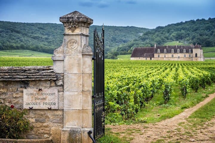 One day private round transfer to Burgundy from Paris