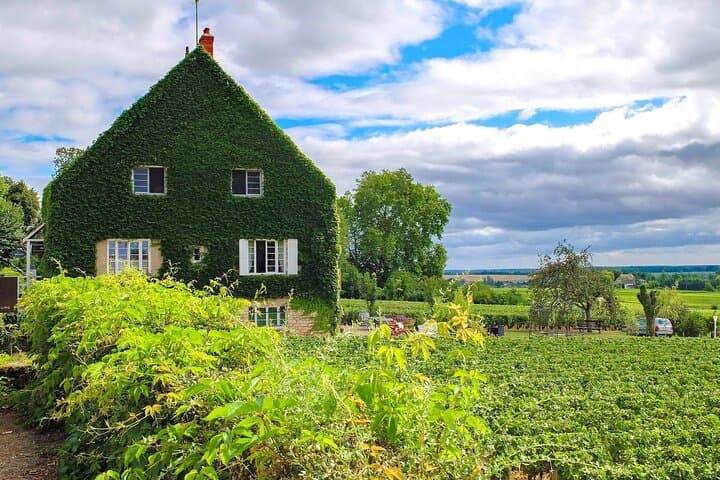 One day private round transfer to Burgundy from Paris