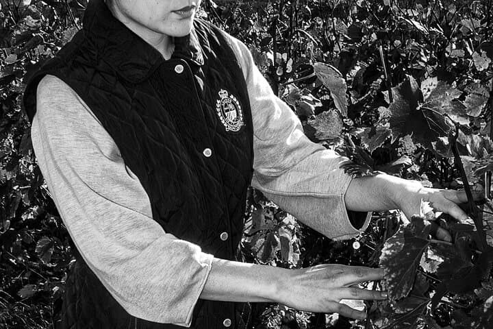Learning how to pallise in the spring