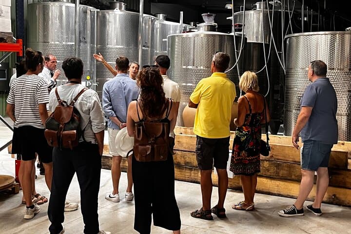 Taste of Provence - Wine and Scenery around Aix-en-Provence