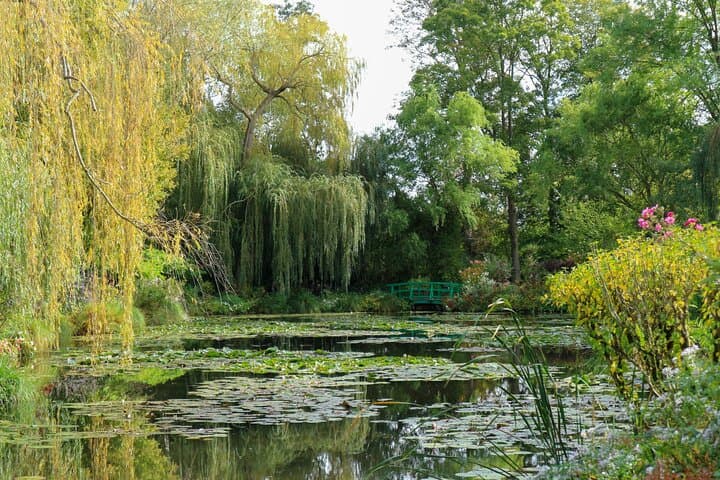 The Waterlily Pound