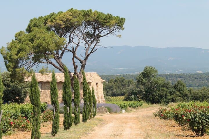 Taste of Provence - Wine and Scenery around Aix-en-Provence