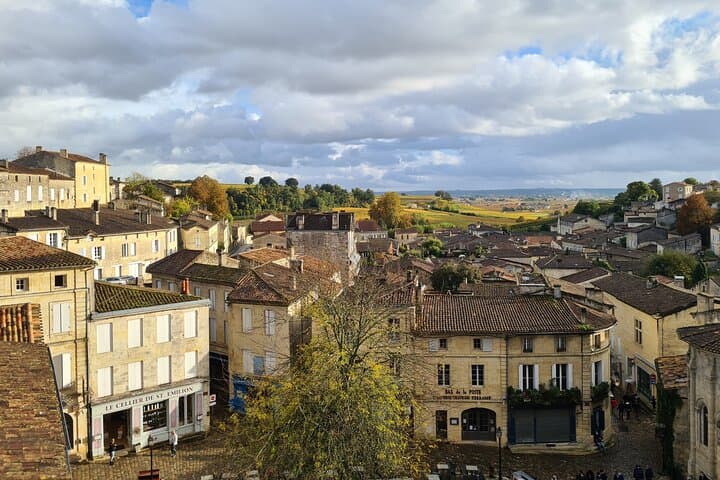 Saint-Émilion Morning Wine Tour - Winery Visit & Tastings