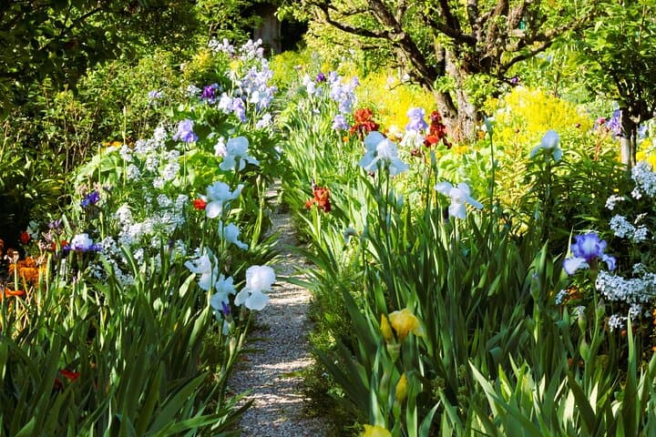 Giverny & Honfleur VIP Private Day Trip from Paris or Le Havre