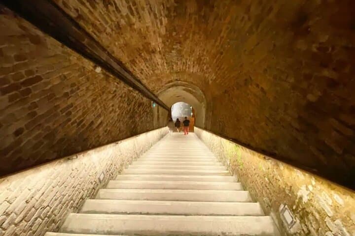Ruinart Champagne Reims Private Half day trip from Paris