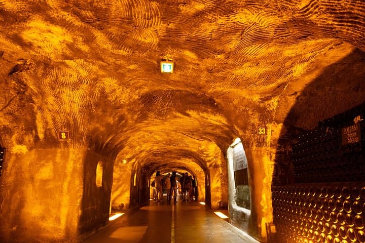 Family Estates Champagne Tour from Paris : 10 Tastings & Lunch