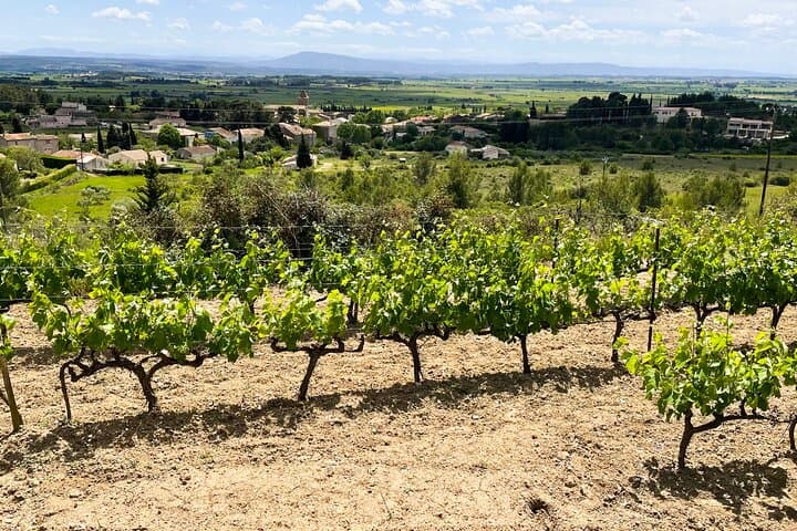 Corbières & Lagrasse Full-Day | Abbey & Village Culture