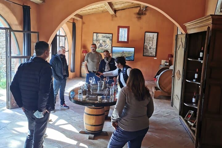 From Aix-en-Provence : Half-day Sidecar Wine Tour