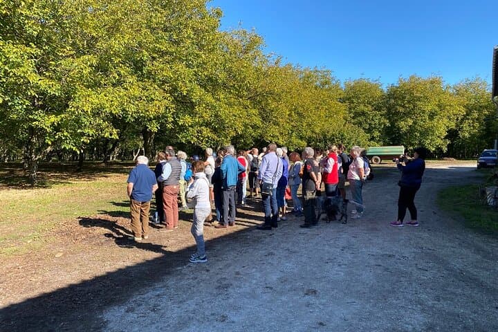 Private immersion visit to the Walnut grove with tasting