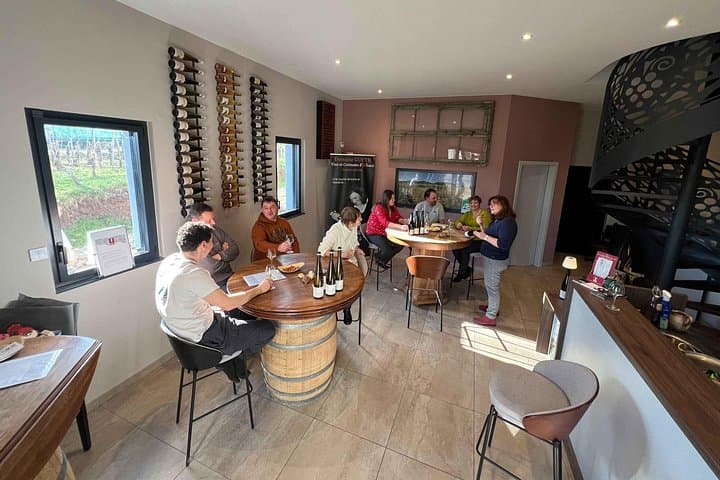The Organic Treasures of Alsace An Invitation to Tasting