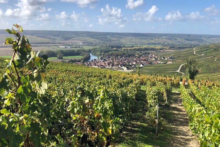 Chablis-Burgundy Wine Day from Paris with 8 Tastings & Lunch