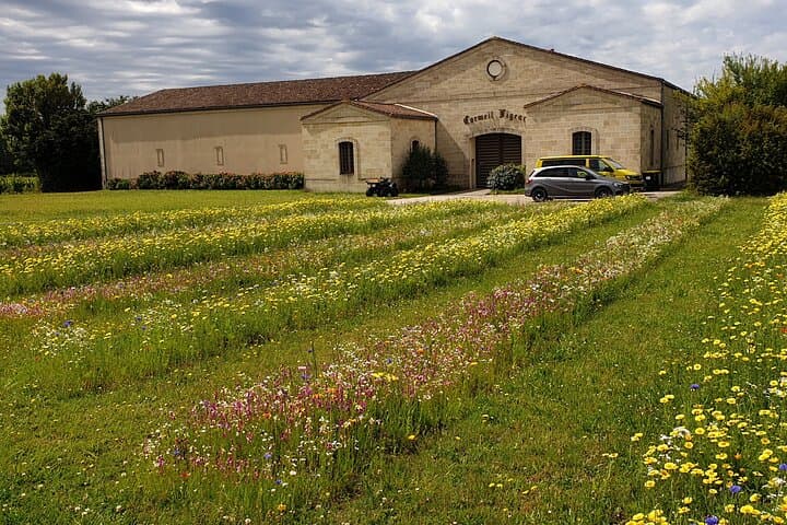 Organic and agroecological winery