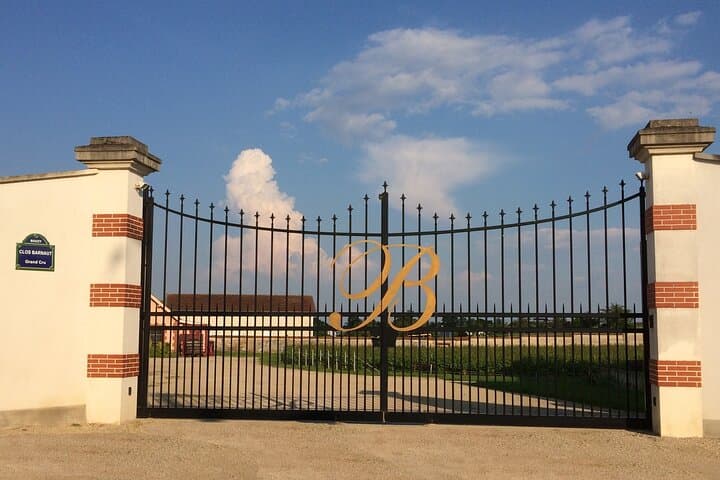 Tasting of 3 Grand Cru Champagnes in Bouzy Unique Experience