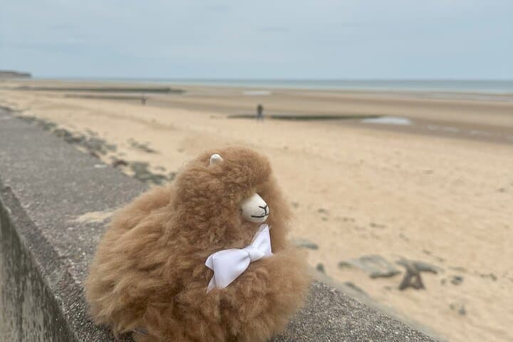 Small Group Mont Saint Michel and D-Day tour by Mini-van