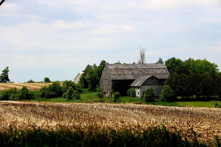 Private Normandy Tour from Paris: D-Day Beaches and Local charms