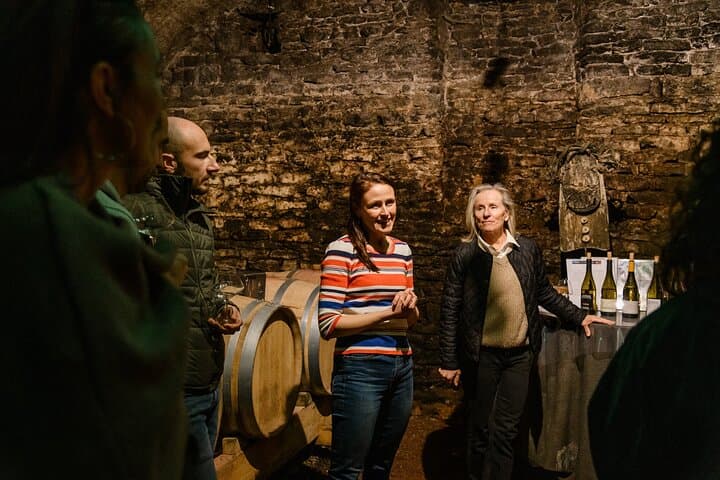 Full-Day Beaujolais Wine Tour - Picnic Lunch Included