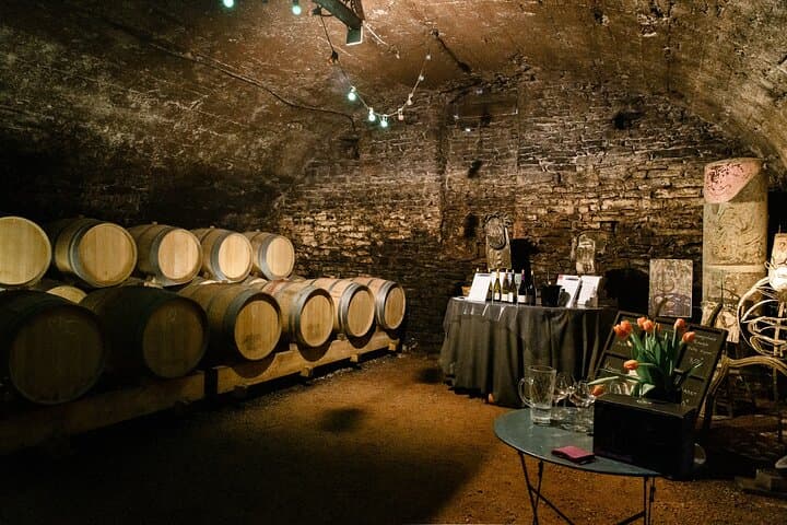 Full-Day Beaujolais Wine Tour - Picnic Lunch Included