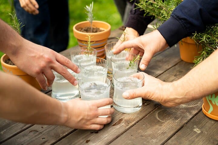 Award winning "From Farm to Table, A Culinary Day in Lyon"