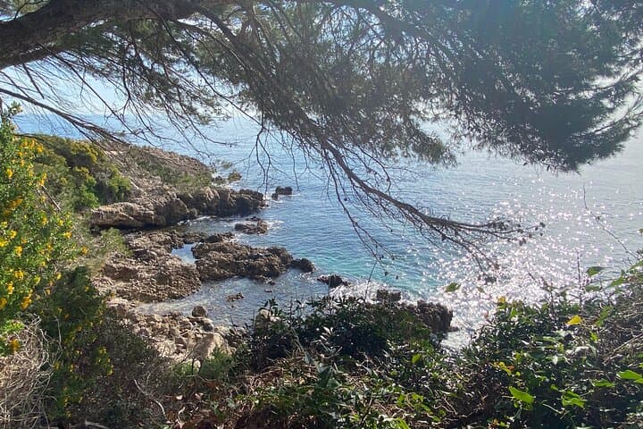 Small Group Full-Day Trip to French Riviera Highlights from Nice