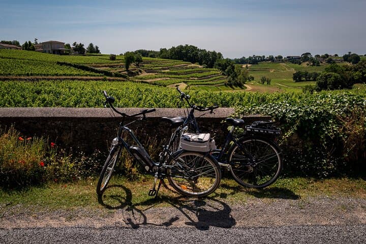 Saint Emilion Wine Tour by E-Bike- Bordeaux Pick up and drop off