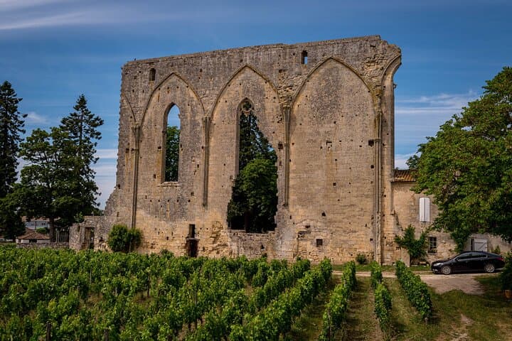Saint Emilion Wine Tour by E-Bike- Bordeaux Pick up and drop off