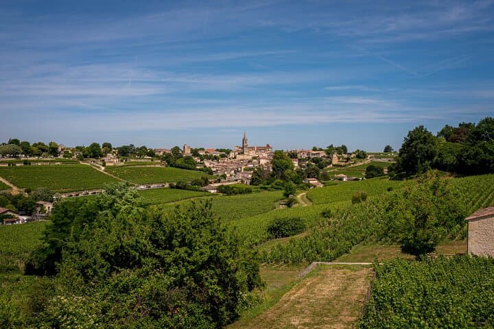 Saint Emilion Wine Tour by E-Bike- Bordeaux Pick up and drop off
