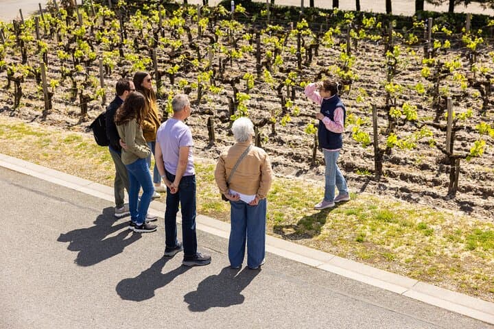 Médoc Afternoon Wine Tour - 2 Wineries & Gourmet Tastings