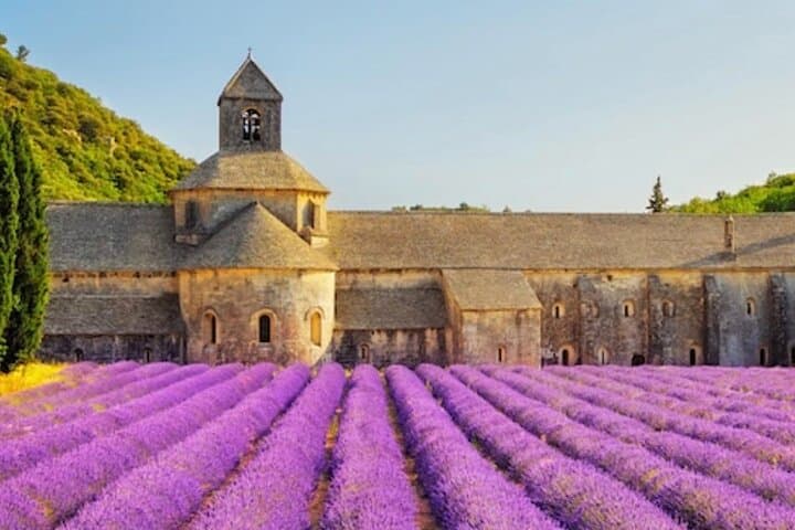 Senanque Abbey
