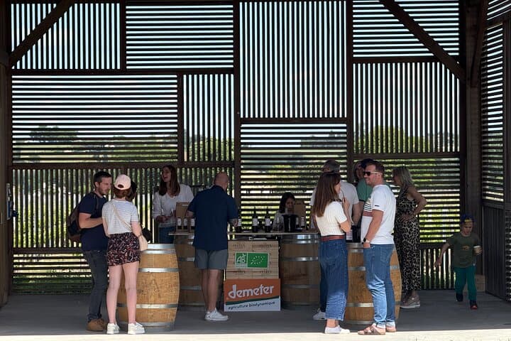 Discover Clos Systey Organic and Biodynamic Wines