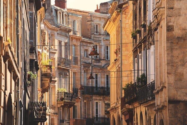 Best Intro to Bordeaux in 2 hours with a Local