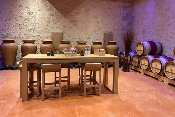 Visit of the Vineyards Saint Emilion and Medoc Day