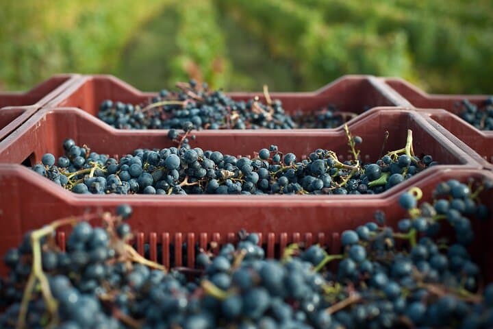 Manual harvesting