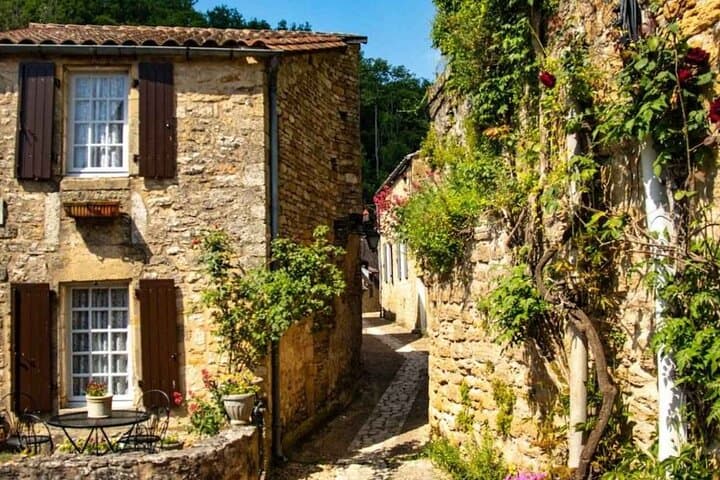 Bordeaux to Saint Émilion Wine Full Day Trip with Tastings