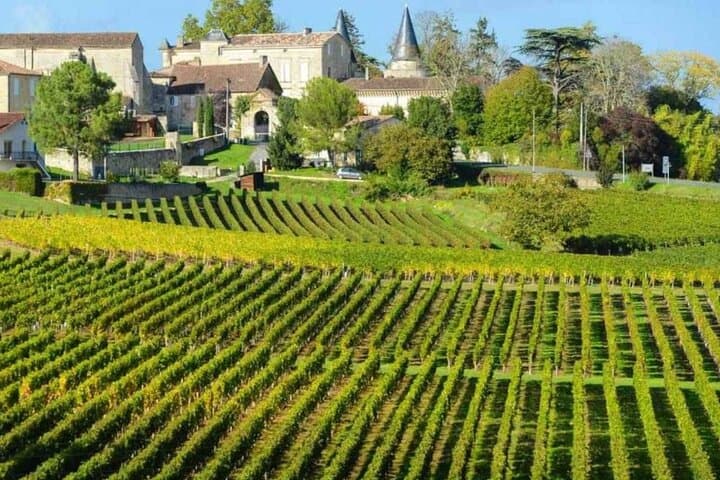 Bordeaux to Saint Émilion Wine Full Day Trip with Tastings