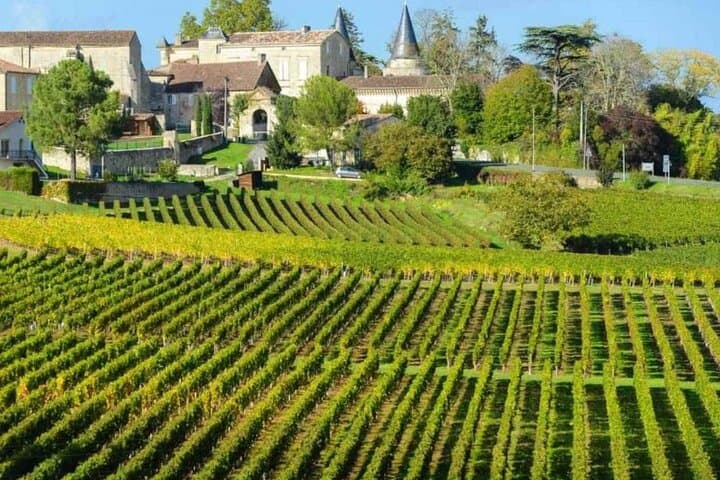 Bordeaux and Saint Émilion Wine Half Day Tour with Tastings