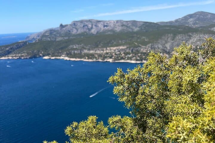 Tour Sport in Marseille: Hiking and Stade Velodrome