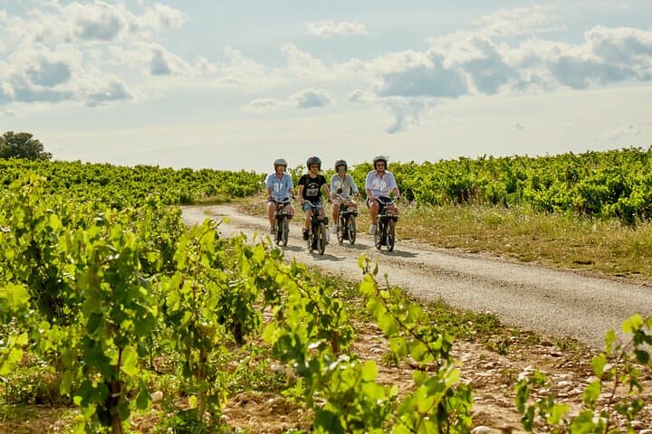 Solex tour and tasting at Domaine les Aphillanthes