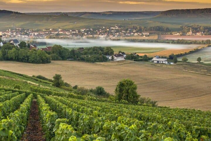 1 Day Private getaway in Champagne Van VIP from Paris