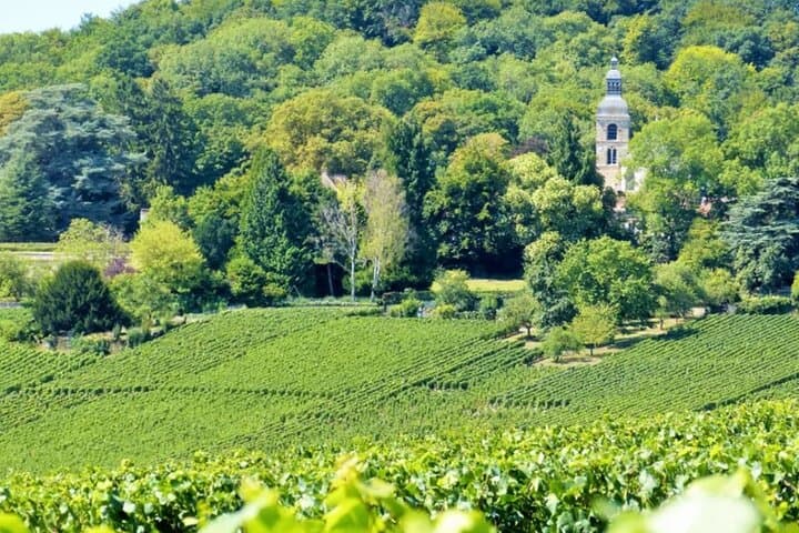 1 Day Private getaway in Champagne Van VIP from Paris