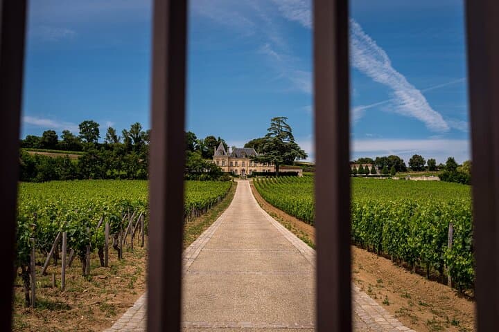 Saint Emilion Wine Tour by E-Bike- Bordeaux Pick up and drop off