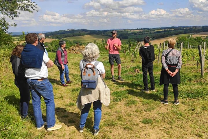 Explanations of the winemaker, with stunning views of the vineyards.
