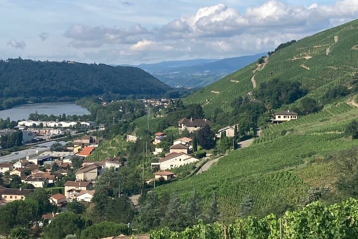 Hiking and Wine between Côte-Rôtie and Condrieu