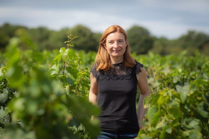 Tasting Crémants DE Burgundy 30 minutes to 20 min DE Beaune