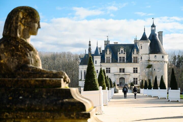 Private Loire Castles Tour with Hotel Pickup