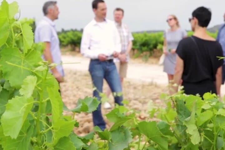Winery Tour and Wine Secrets between Avignon and Nîmes