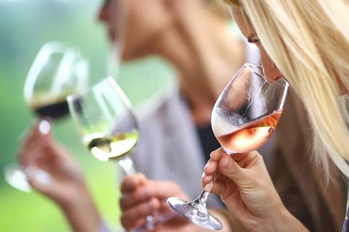 Winery Tour and Wine Secrets between Avignon and Nîmes